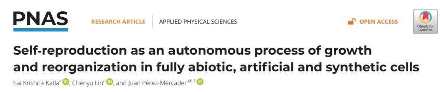Self-reproduction as an autonomous process of growth and reorganization in fully abiotic, artificial and synthetic cells