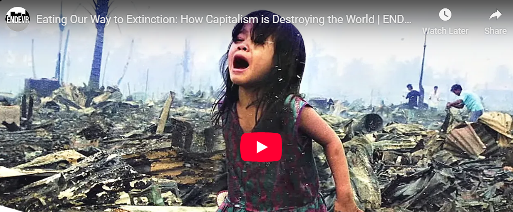 Eating Our Way to Extinction: How Capitalism is Destroying the World